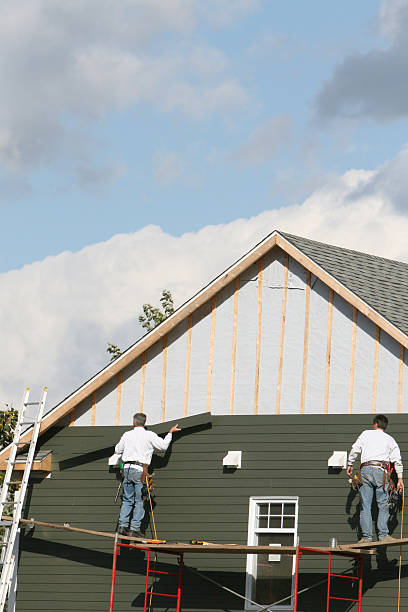 Affordable Siding Repair and Maintenance Services in Winnsboro, TX